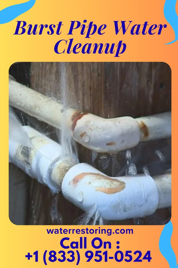 Burst Pipe Water Cleanup in Pawnee, IL