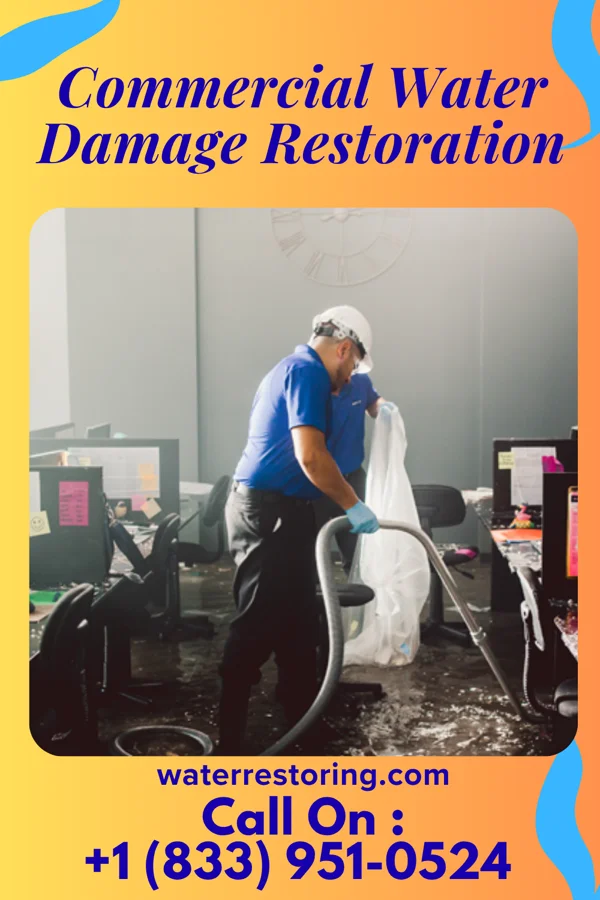 Commercial Water Damage Restoration in Pawnee, IL