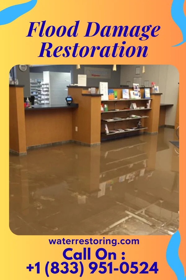 Flood Damage Restoration in Pawnee, IL