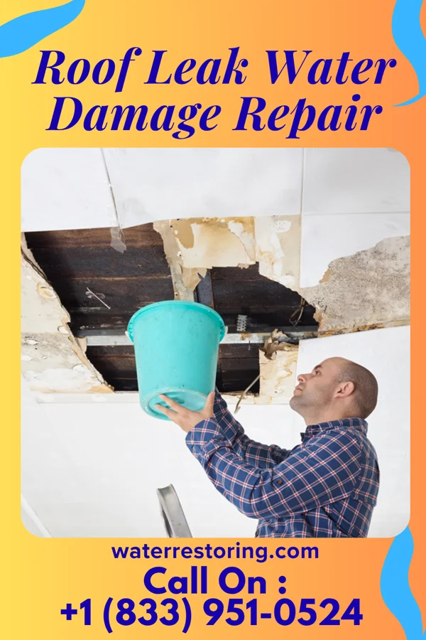 Roof Leak Water Damage Repair in Pawnee, IL